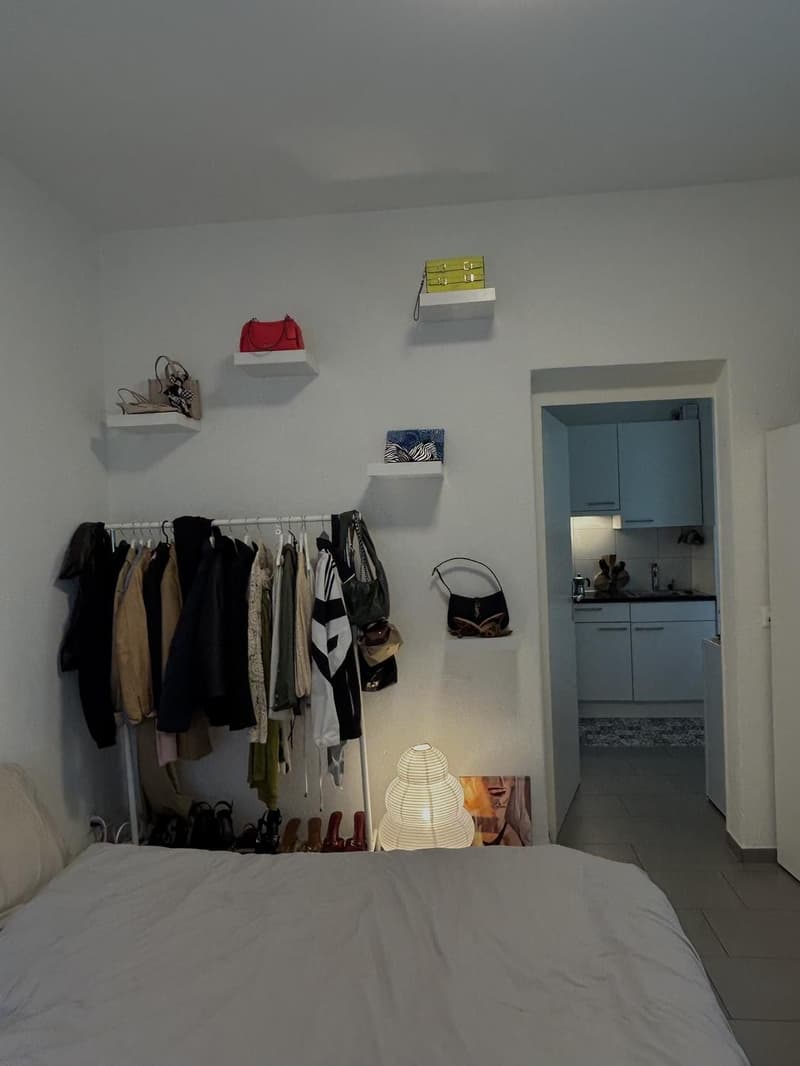 Charmantes Apartment im Herzen von Wiedikon (7)