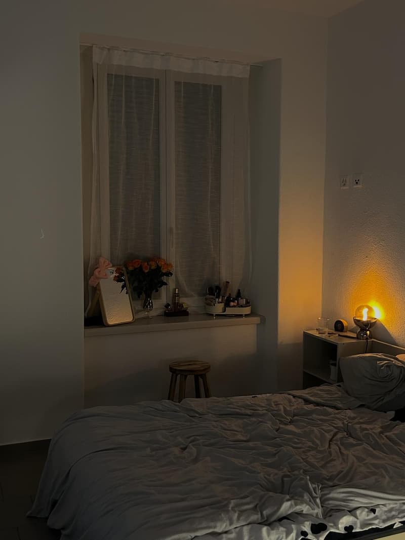 Charmantes Apartment im Herzen von Wiedikon (5)