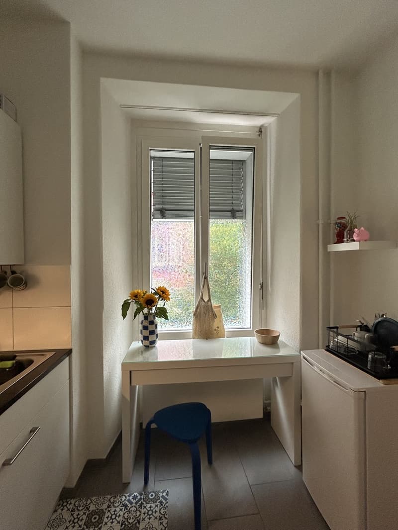 Charmantes Apartment im Herzen von Wiedikon (2)