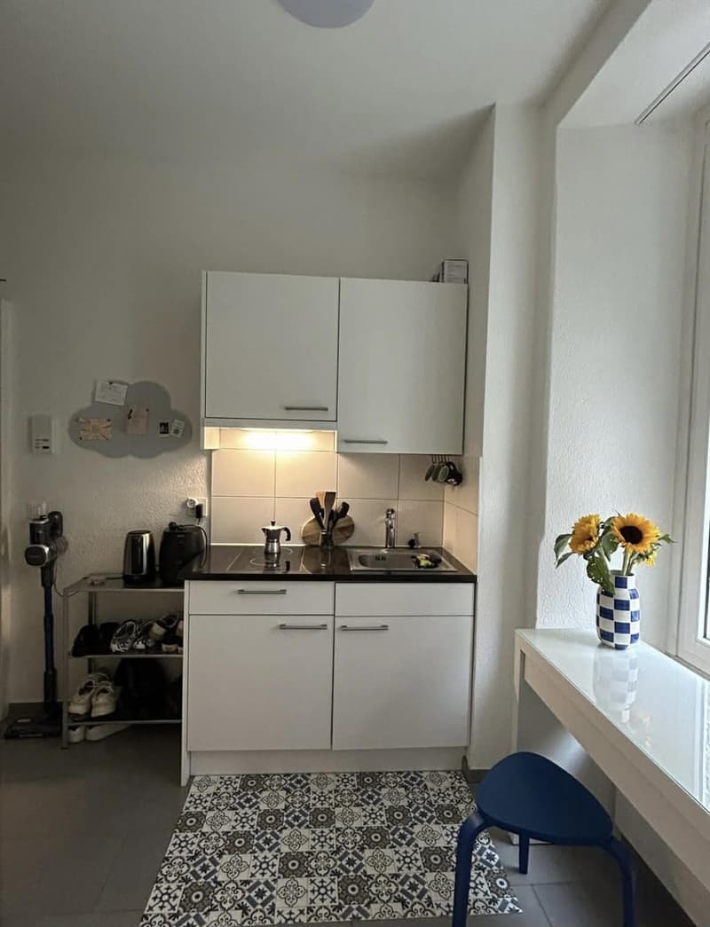 Charmantes Apartment im Herzen von Wiedikon (1)
