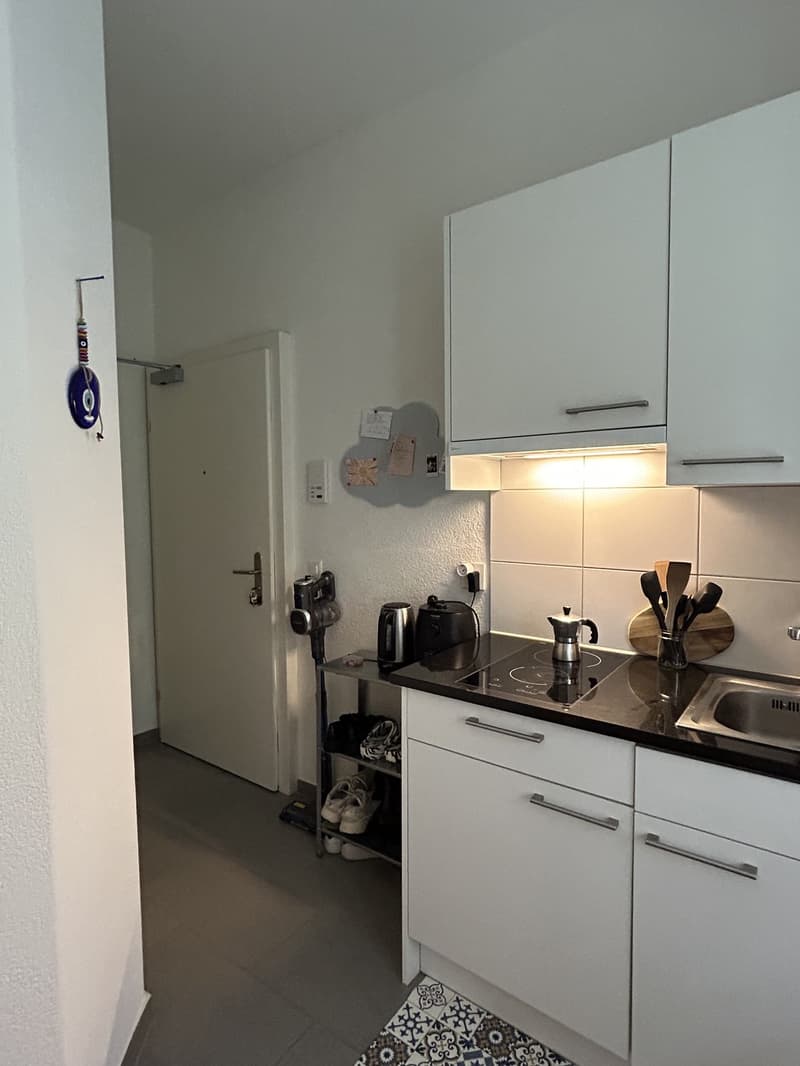 Charmantes Apartment im Herzen von Wiedikon (4)