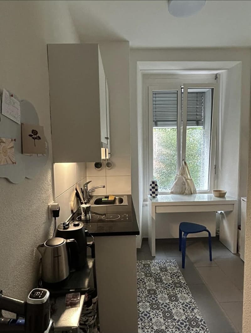 Charmantes Apartment im Herzen von Wiedikon (3)