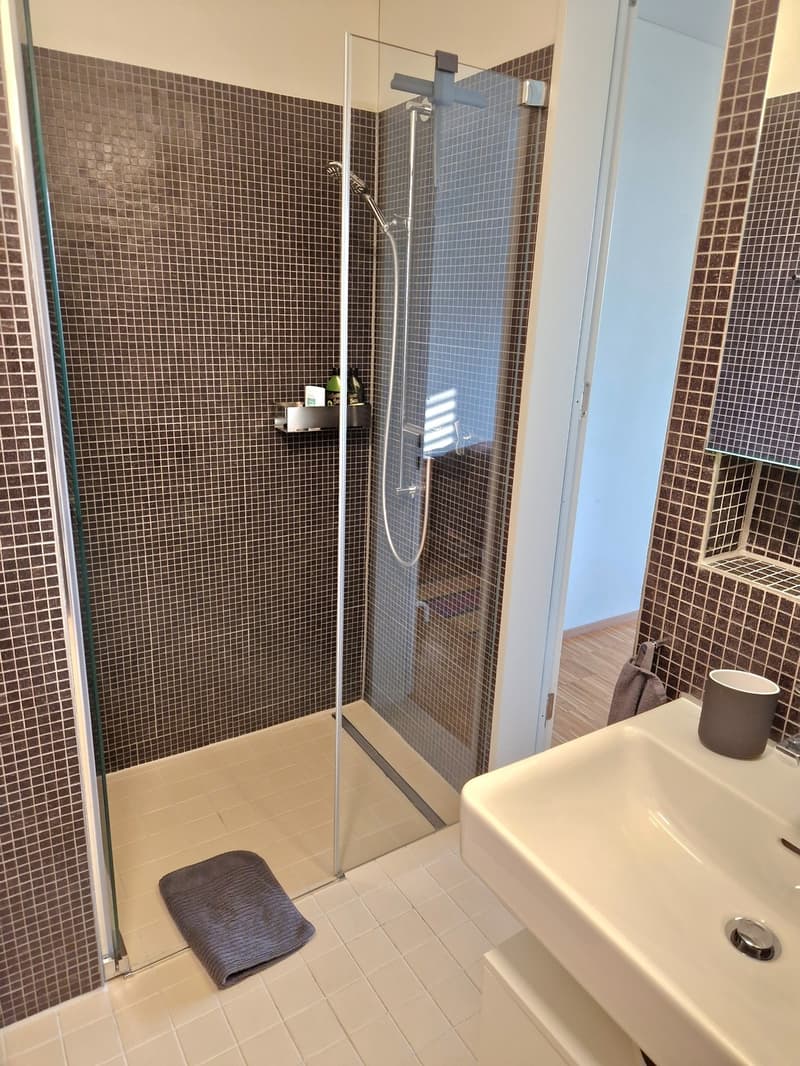 Möbliertes Zimmer mit privatem Bad. Temporär Mitbewohner gesucht (3)