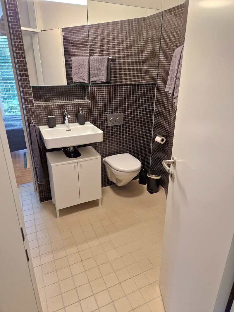 Möbliertes Zimmer mit privatem Bad. Temporär Mitbewohner gesucht (4)