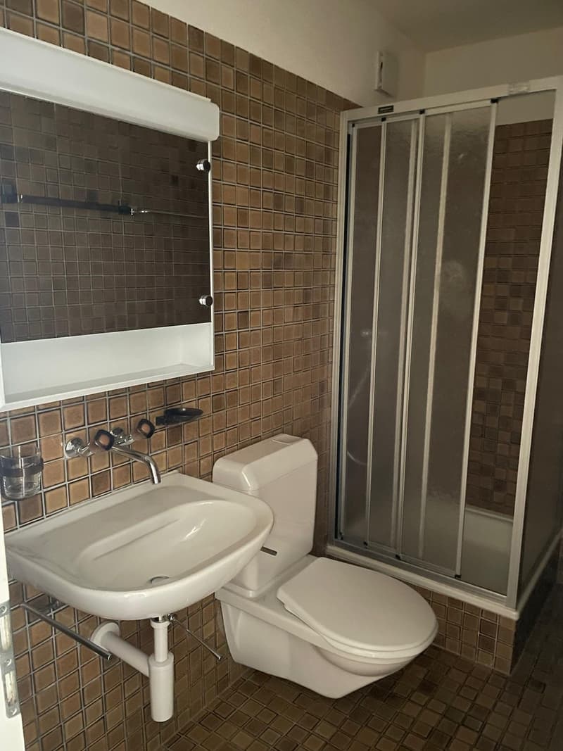 Helle 4.5-Zimmer-Wohnung in Urtenen-Schönbühl  Nachmieter gesucht per 1. September (7)
