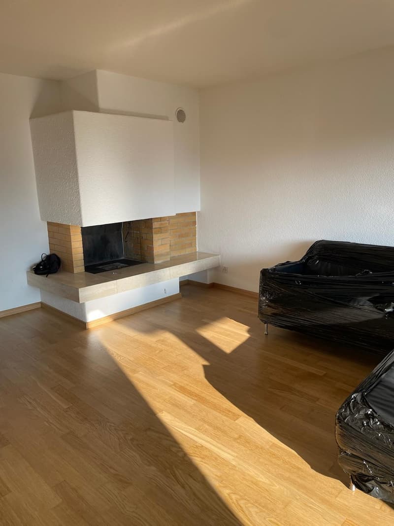 Helle 4.5-Zimmer-Wohnung in Urtenen-Schönbühl  Nachmieter gesucht per 1. September (11)