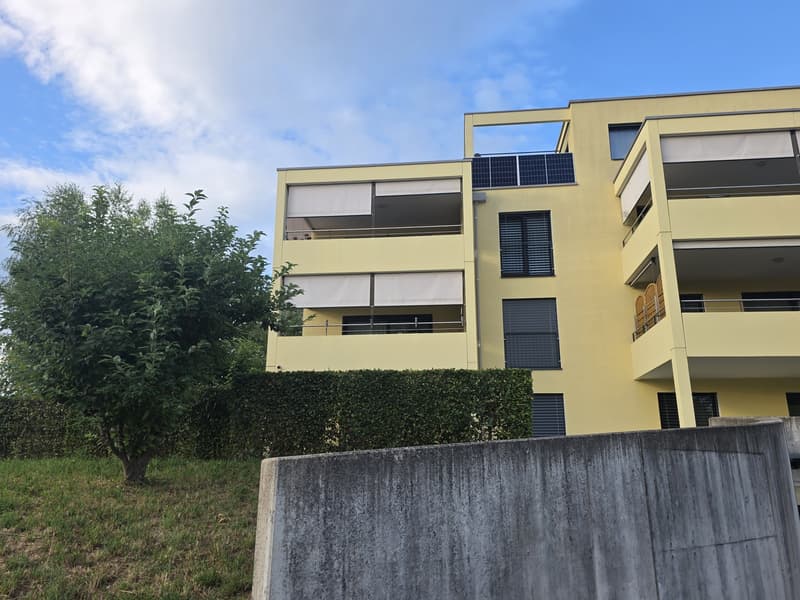Beautiful and bright 3.5 room apartment in quiet Hombrechtikon (2)