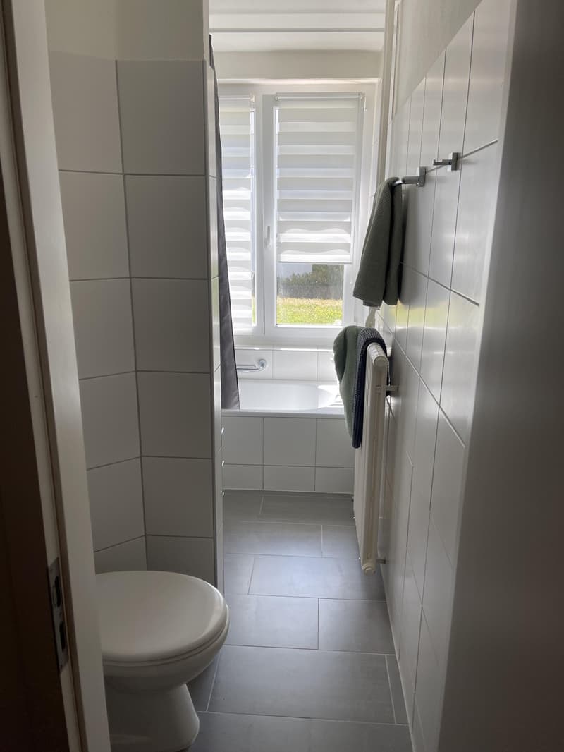 Appartement lumineux 3 pièces avec espace de jardin à Langnau am Albis (4)