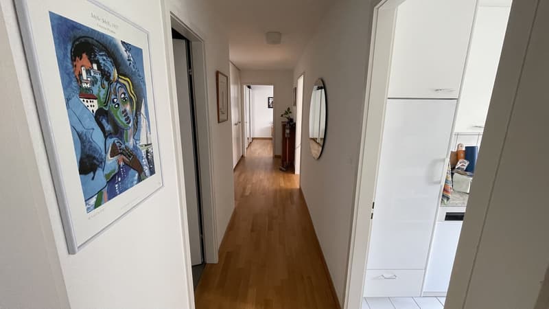Wunderschöne 3.5-Zimmer-Erdgeschosswohnung mit riesigem Garten in Luzern (7)