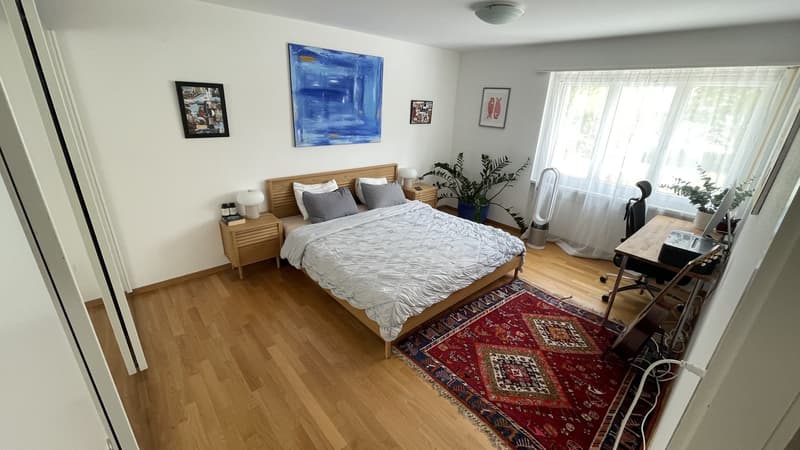 Wunderschöne 3.5-Zimmer-Erdgeschosswohnung mit riesigem Garten in Luzern (1)