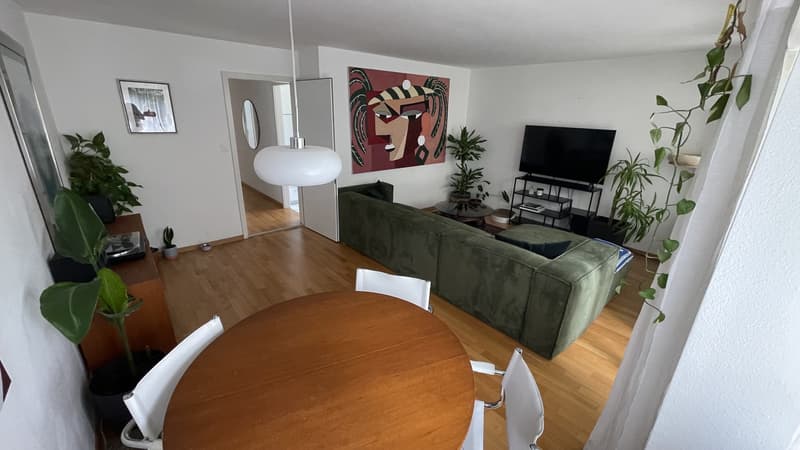 Wunderschöne 3.5-Zimmer-Erdgeschosswohnung mit riesigem Garten in Luzern (2)