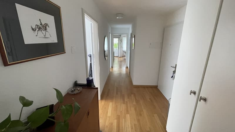 Wunderschöne 3.5-Zimmer-Erdgeschosswohnung mit riesigem Garten in Luzern (4)