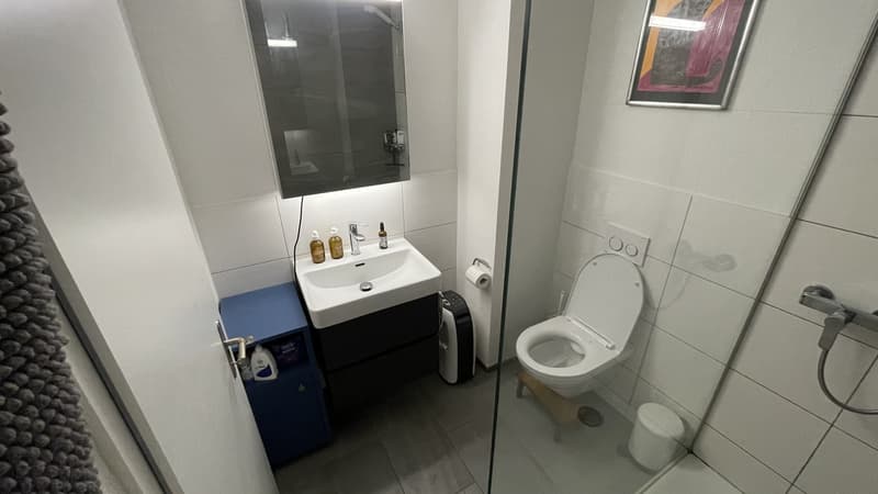 Wunderschöne 3.5-Zimmer-Erdgeschosswohnung mit riesigem Garten in Luzern (6)