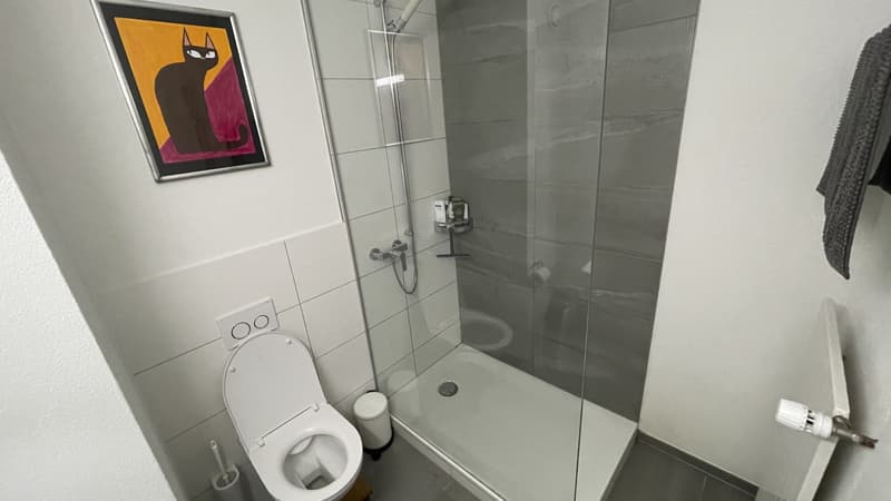 Wunderschöne 3.5-Zimmer-Erdgeschosswohnung mit riesigem Garten in Luzern (5)
