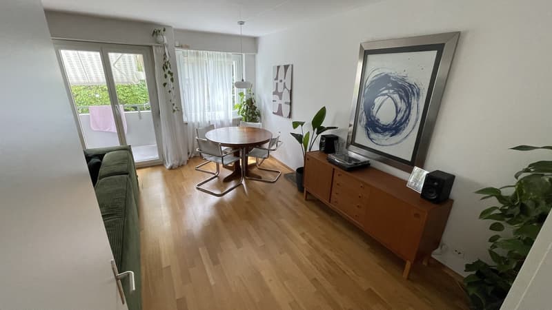 Wunderschöne 3.5-Zimmer-Erdgeschosswohnung mit riesigem Garten in Luzern (3)