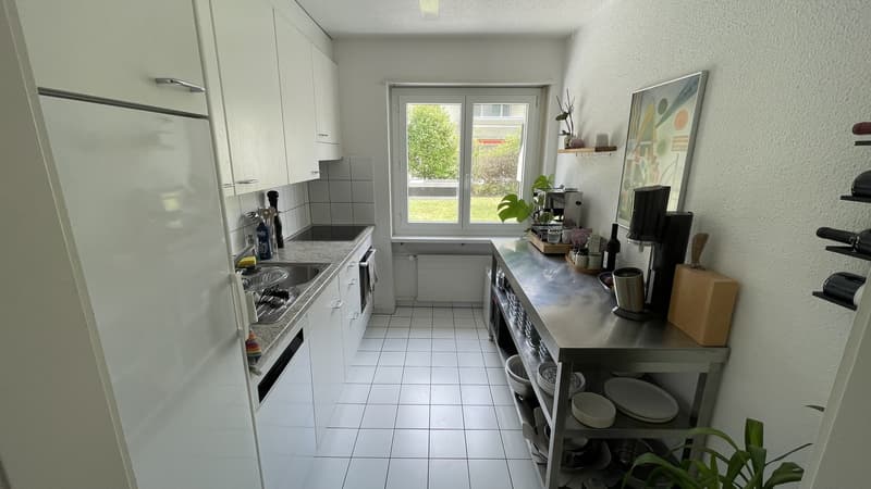 Wunderschöne 3.5-Zimmer-Erdgeschosswohnung mit riesigem Garten in Luzern (9)