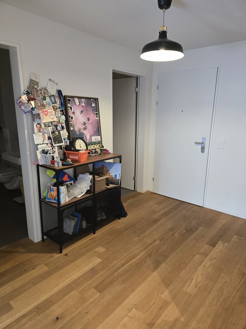 Bright 3.5-room apartment in a quiet neighborhood (3)