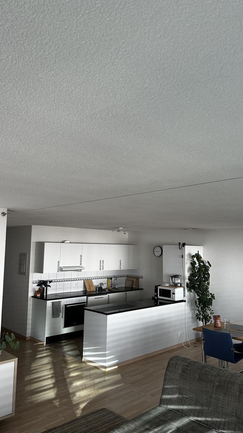 3 ½ rooms apartment, 8052 Zurich (4)