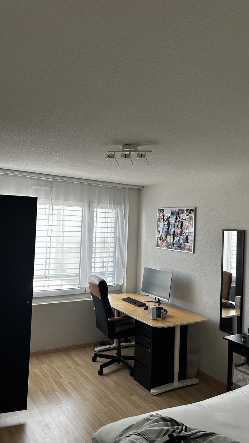 3 ½ rooms apartment, 8052 Zurich (2)