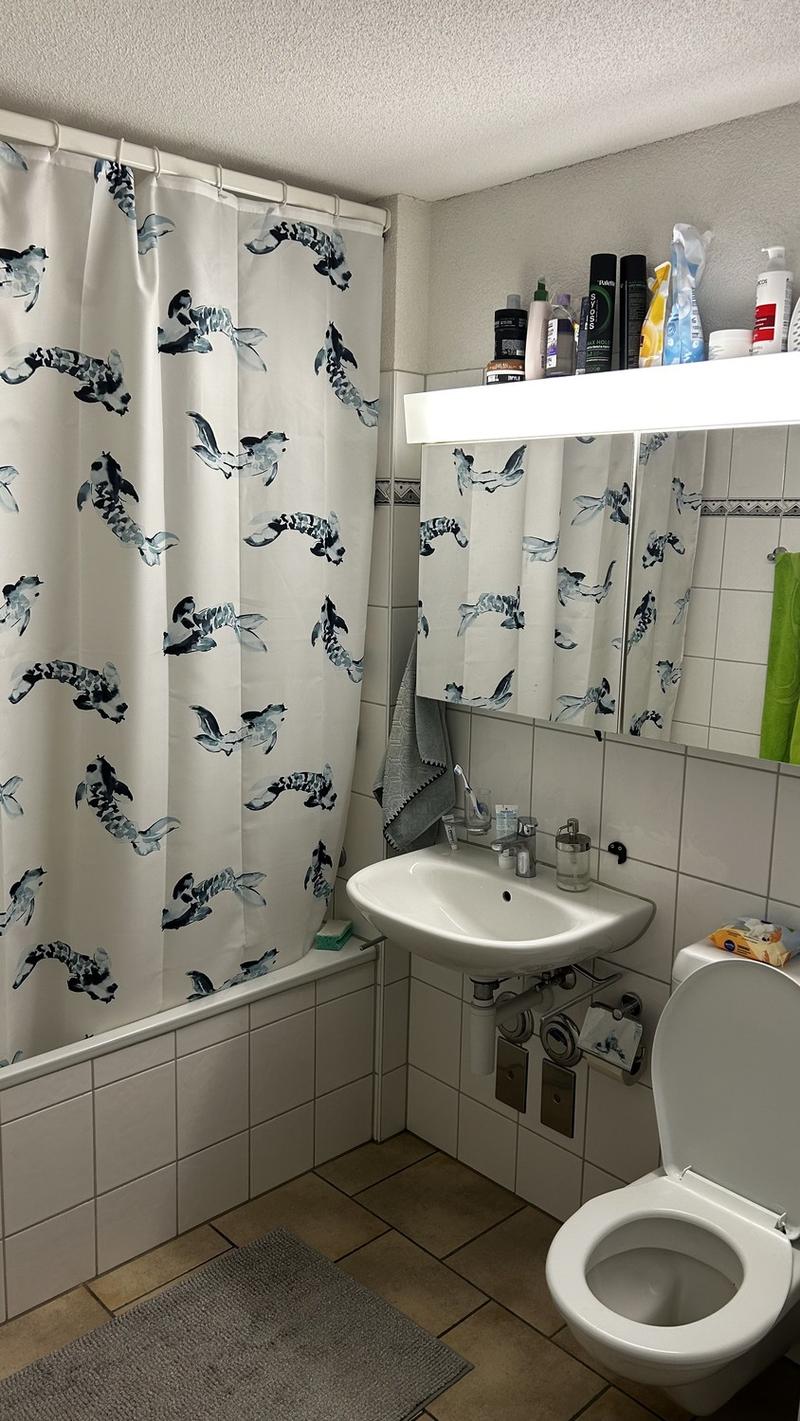 3 ½ rooms apartment, 8052 Zurich (3)