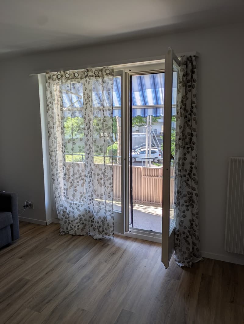 Balcony door