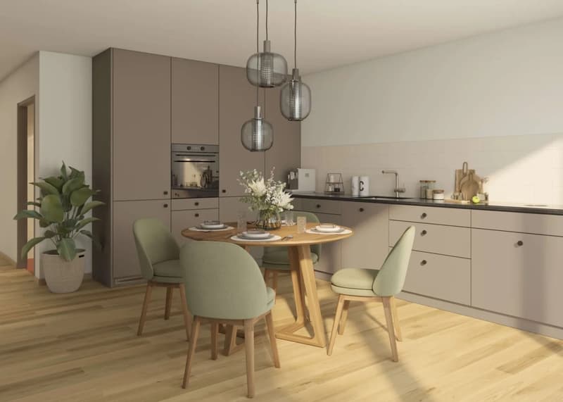 First-time occupancy after total renovation (3)