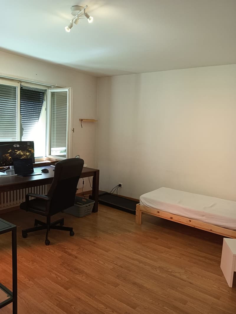 Fixed-term sublet only / Befristete Untermiete: furnished 3-room apartment in Zürich 8046, 15 July to 31 August 2026 (2)