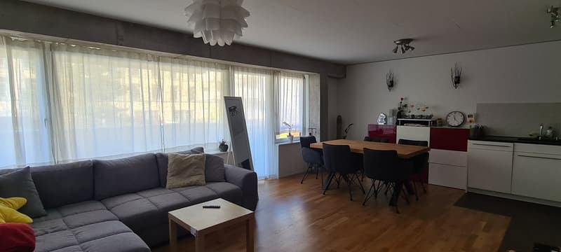 Pretty 2.5 room apartment close to nature (2)