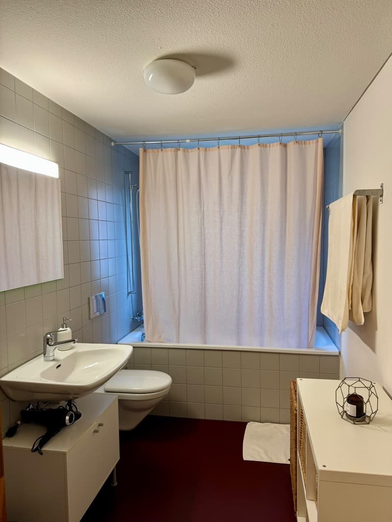 2.5-Zimmer Wohnung EG - befristet (5)