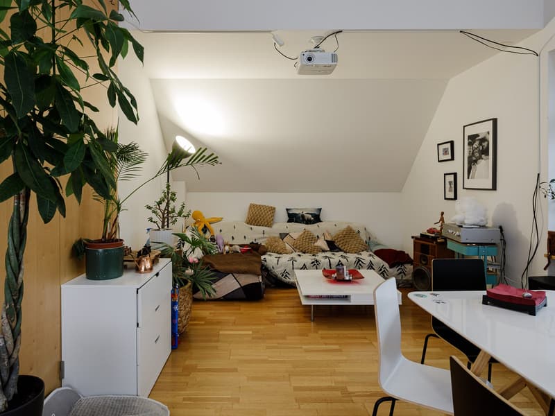 Mitbewohner/in gesucht Exklusives WG-Zimmer mit Loggia, Rigi-Blick & See vor der Haustür (8)
