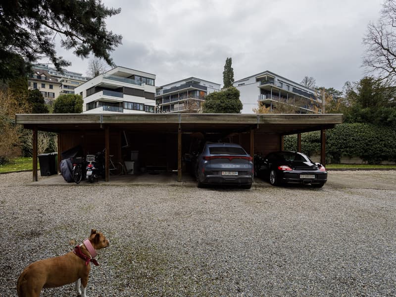 Mitbewohner/in gesucht Exklusives WG-Zimmer mit Loggia, Rigi-Blick & See vor der Haustür (5)