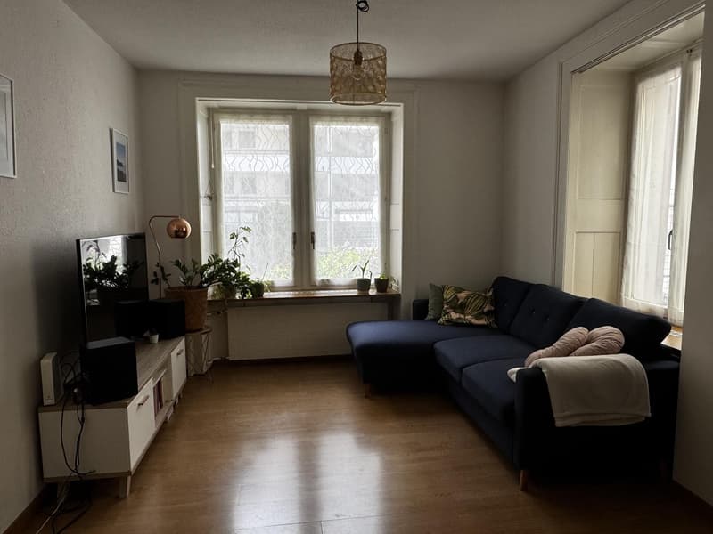 Temporary Sublet - Furnished 2 Room Flat near Zürich HB (1)