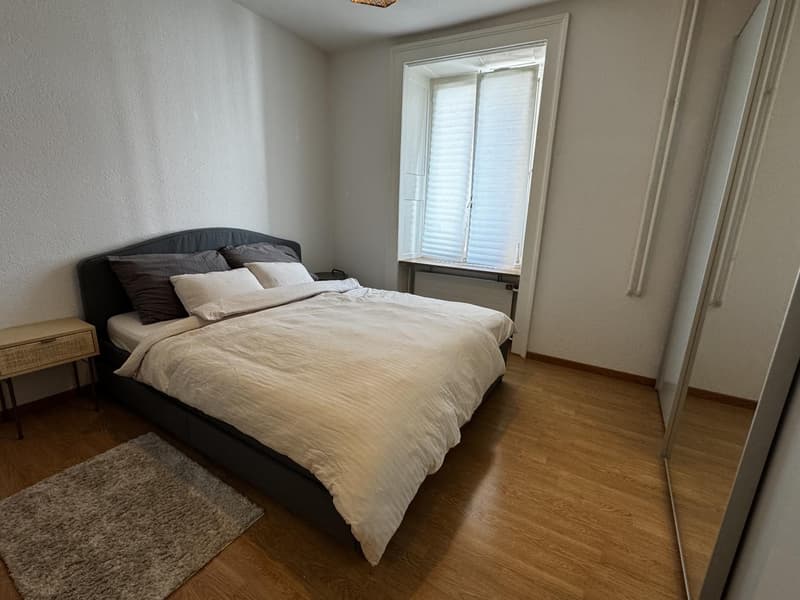 Temporary Sublet - Furnished 2 Room Flat near Zürich HB (3)