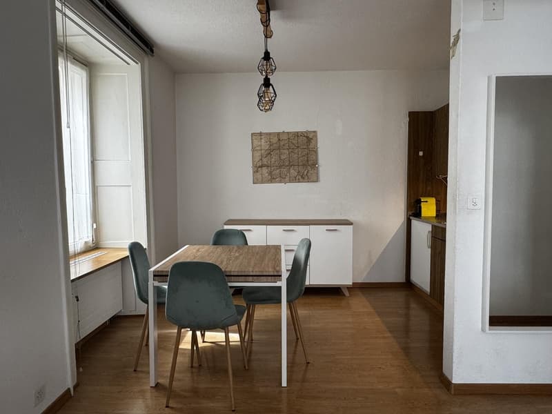 Temporary Sublet - Furnished 2 Room Flat near Zürich HB (2)