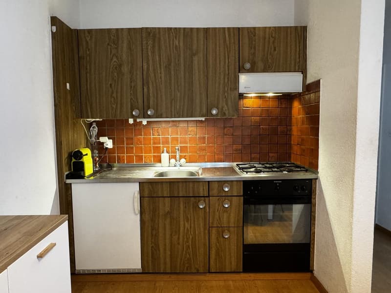 Temporary Sublet - Furnished 2 Room Flat near Zürich HB (5)