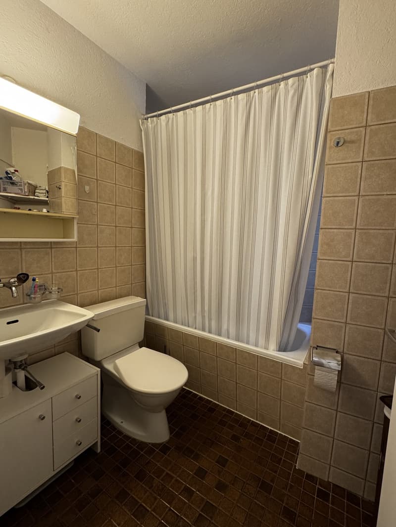 Temporary Sublet - Furnished 2 Room Flat near Zürich HB (6)