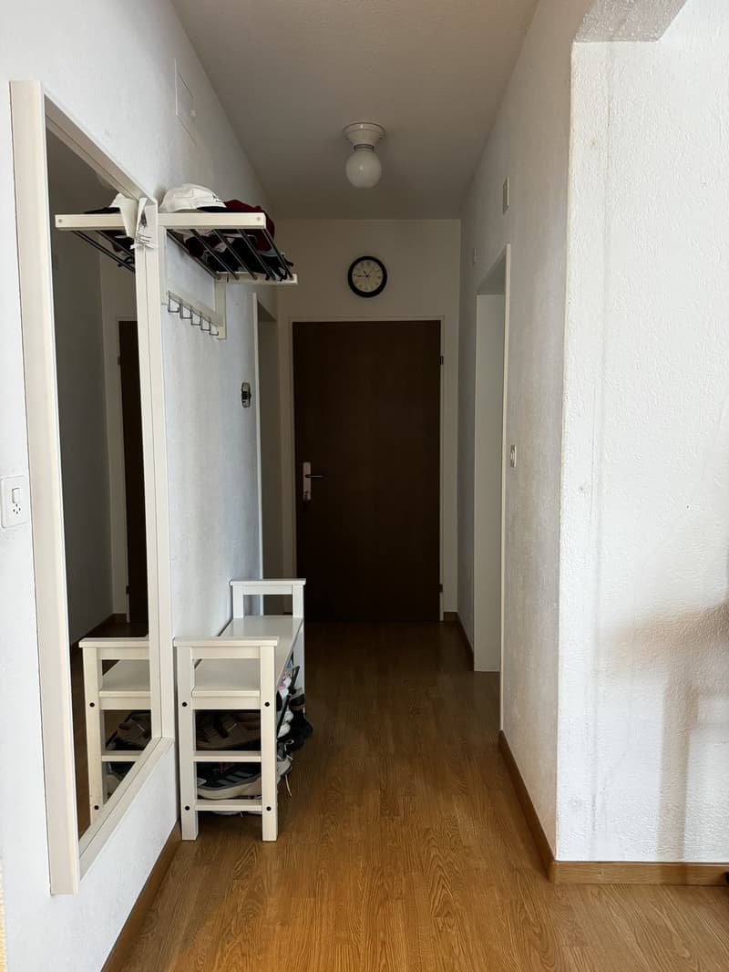 Temporary Sublet - Furnished 2 Room Flat near Zürich HB (4)