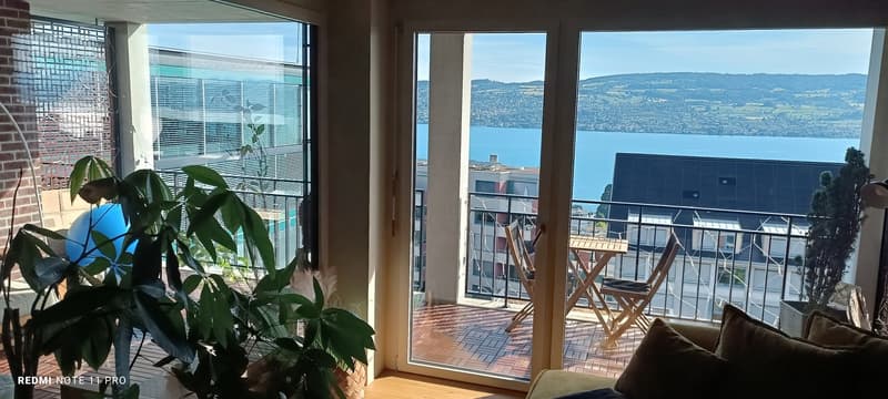 3 ½ Zimmer-Wohnung, 8810 Horgen (11)