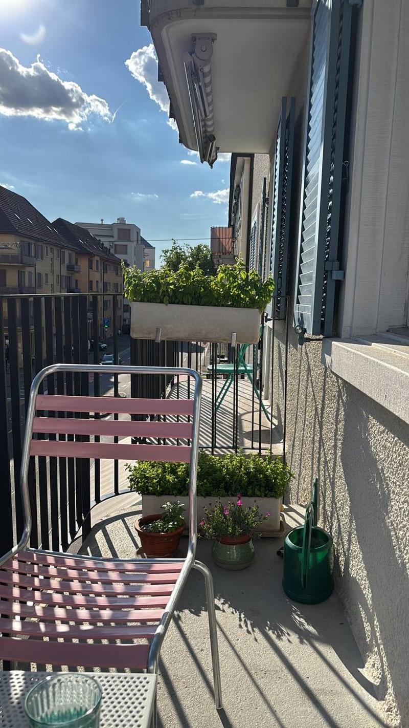 3 Zimmerwohnung im Zentrum von Alstetten / 3-room apartment in the center of Altstetten (2)