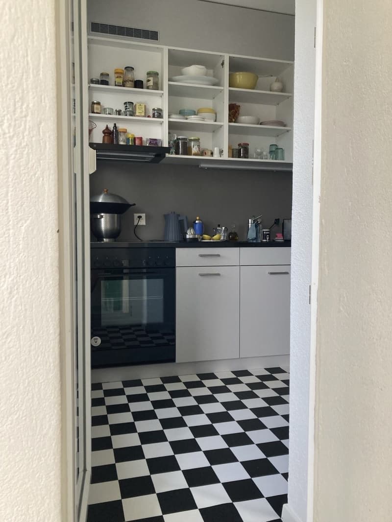 3 Zimmerwohnung im Zentrum von Alstetten / 3-room apartment in the center of Altstetten (6)