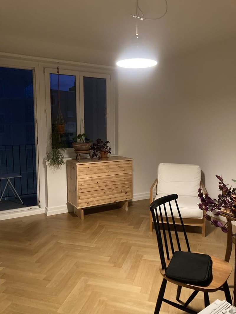 3 Zimmerwohnung im Zentrum von Alstetten / 3-room apartment in the center of Altstetten (3)