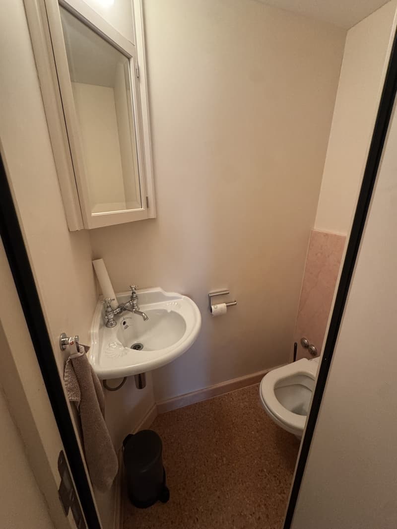 Great 3-room apartment in the heart of Zurich (7)