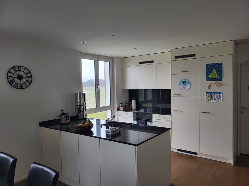 Appartement 4,5 pièces idéal pour les familles ou ceux qui recherchent une vie calme dans un environnement verdoyant. Quartier et environnement parfaits. (2)