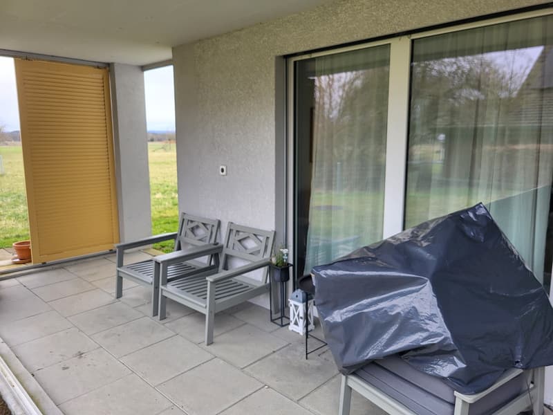 Appartement 4,5 pièces idéal pour les familles ou ceux qui recherchent une vie calme dans un environnement verdoyant. Quartier et environnement parfaits. (3)
