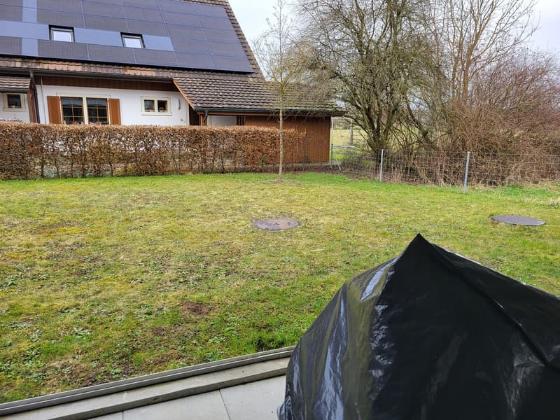 Appartement 4,5 pièces idéal pour les familles ou ceux qui recherchent une vie calme dans un environnement verdoyant. Quartier et environnement parfaits. (4)