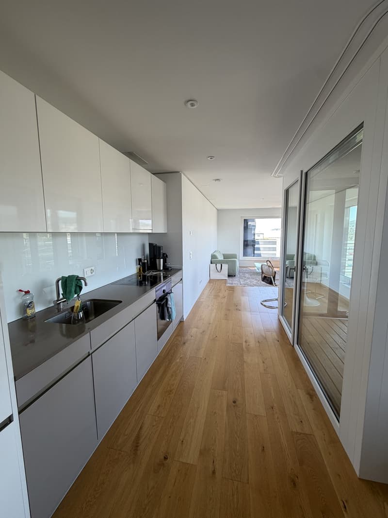Moderne, möblierte 1.5-Zimmer-Neubauwohnung in Zürich Altstetten zur Untermiete (2)