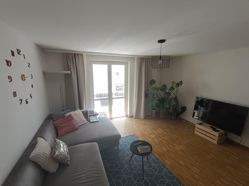 Large 2.5 room apartment for a limited time (2)