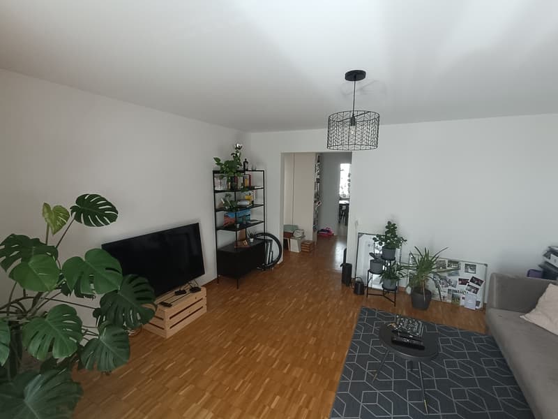 Large 2.5 room apartment for a limited time (1)