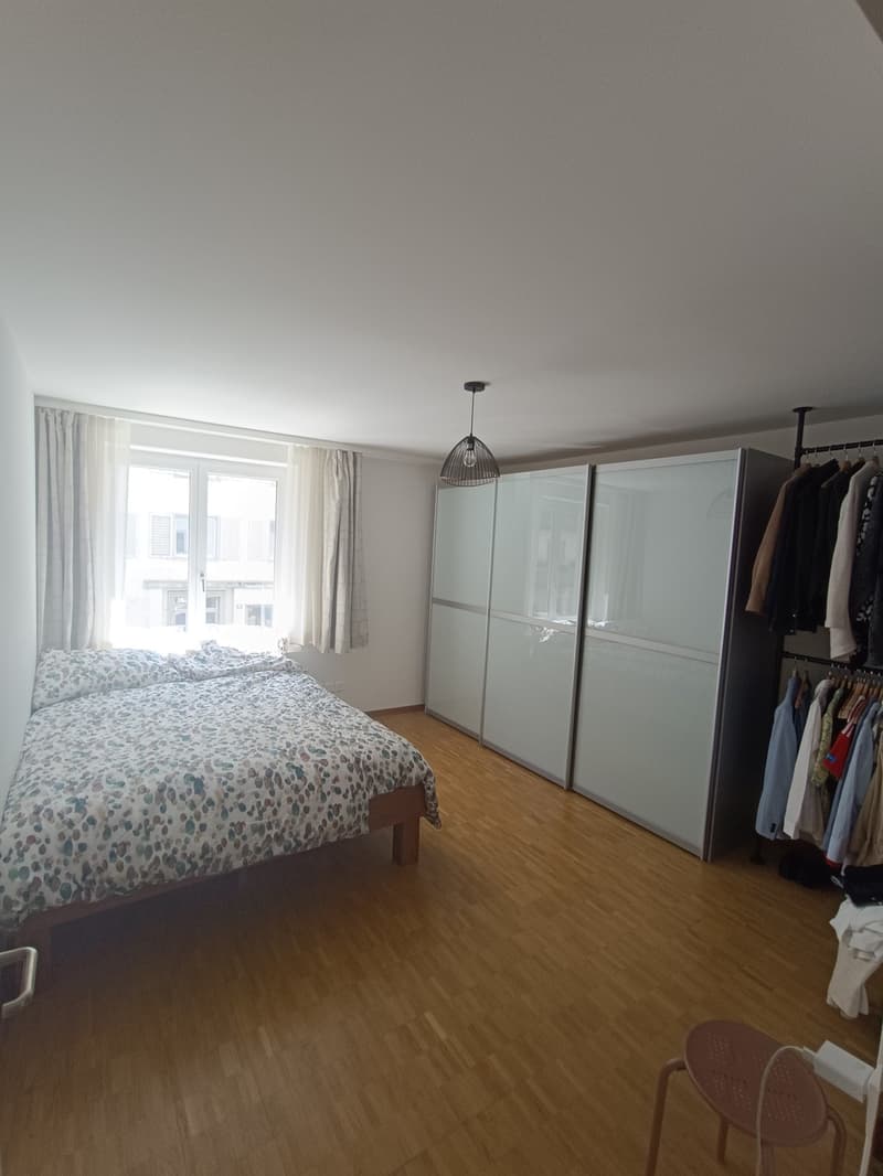 Large 2.5 room apartment for a limited time (3)