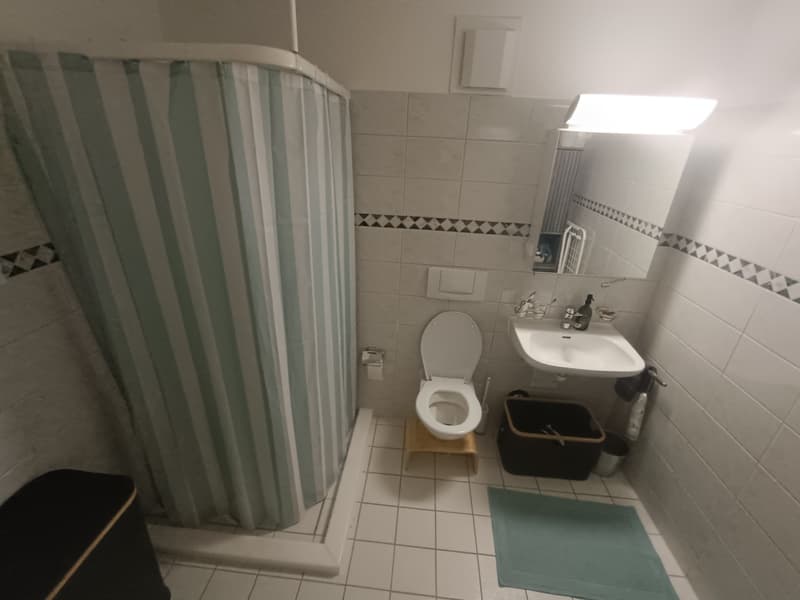 Large 2.5 room apartment for a limited time (6)